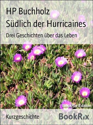 cover image of Südlich der Hurricaines